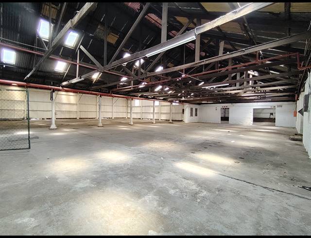 1,300M² WAREHOUSE TO LET IN DRIEHOEK